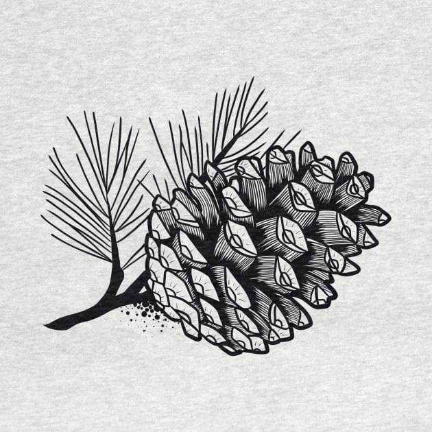 Pine cone by Adorline